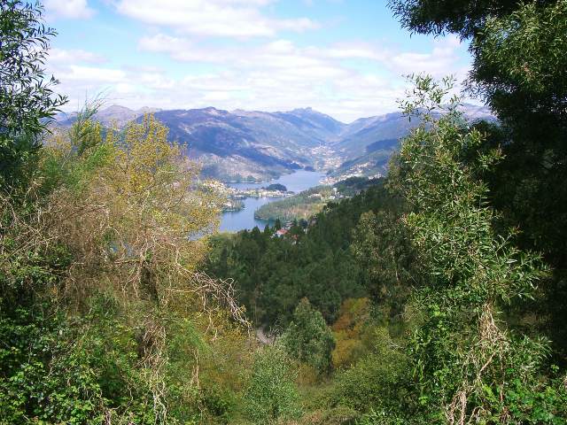 Image 37
