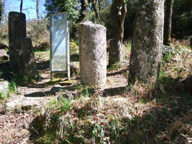 Image 43