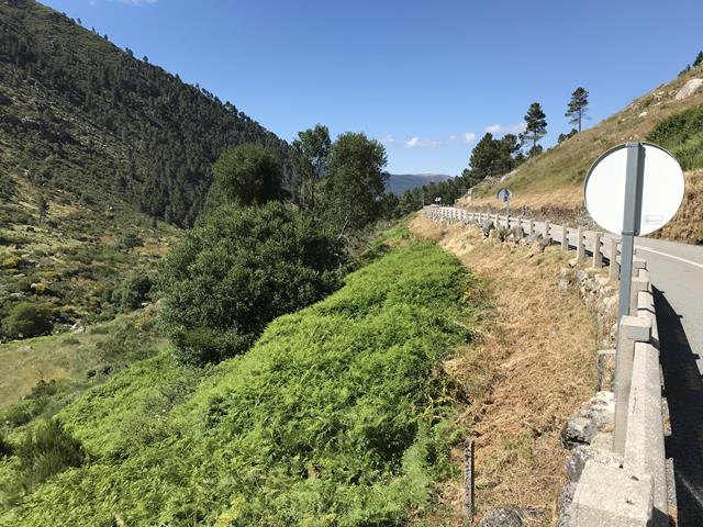 Image 18